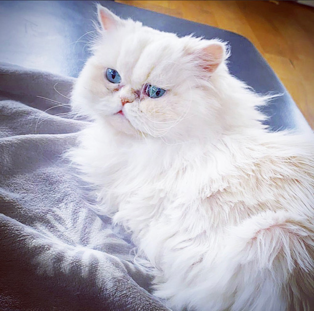 Queenie