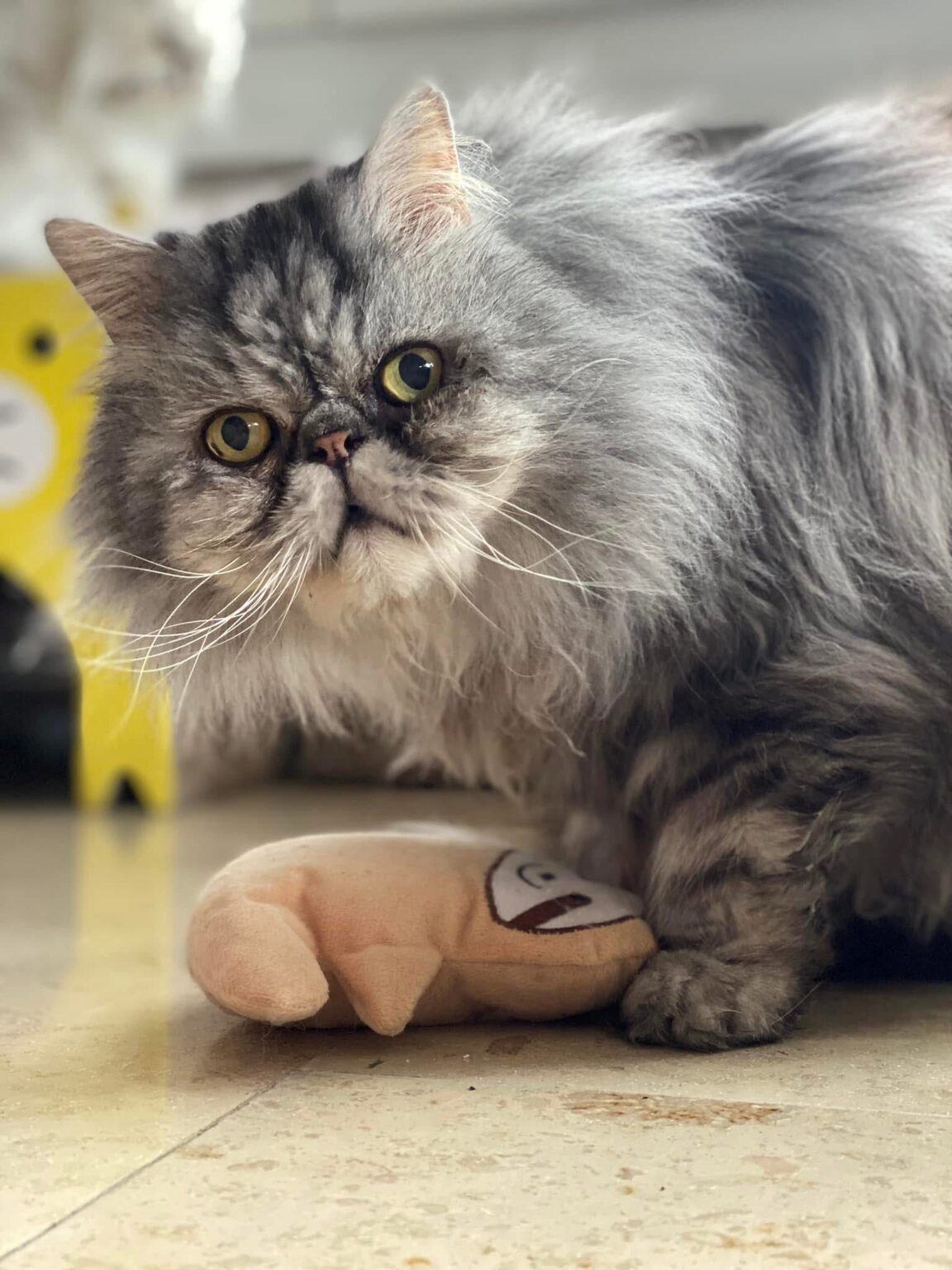 Oskar